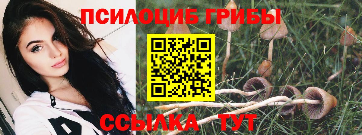 Псилоцибиновые грибы ЛСД  Псилоцибиновые грибы MAGIC MUSHROOMS  Сосновоборск  Вход с VPN 