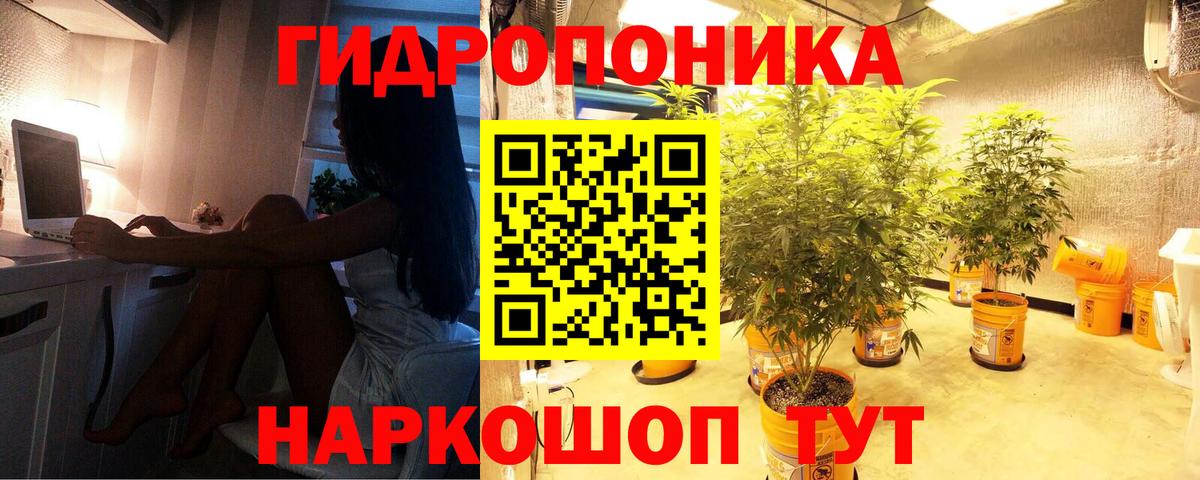 Канабис сатива Сосновоборск